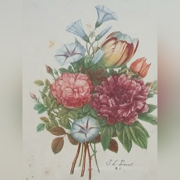 Franklin Picture Frame with A Floral Botonical Framed Print By "J. L. Prévost" - Picture 7 of 10